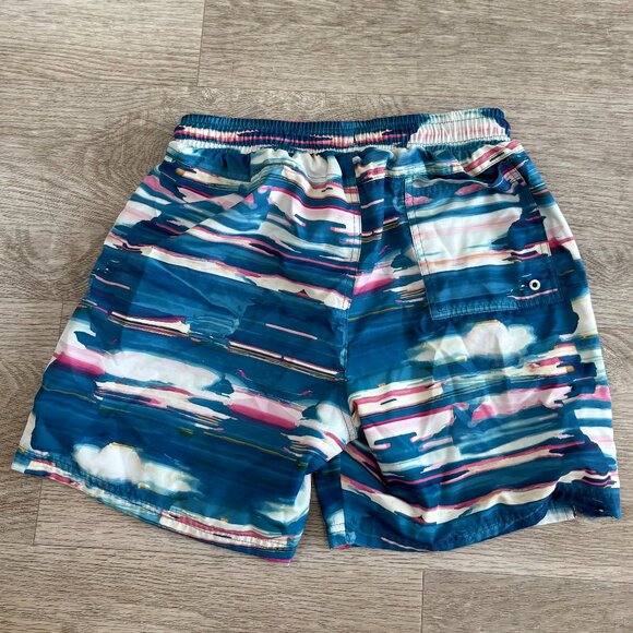 Csg Swim Trunks / Board Shorts Mens Small - Picture 2 of 4